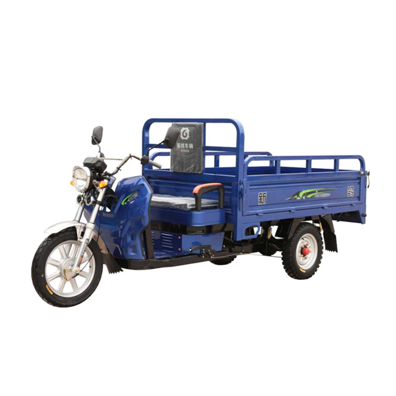 1500W Truck Tricycle de càrrega elèctrica